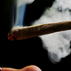 Illustration for article titled Ricky Williams: Americas Most Blunted